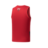 NBA Jersey Niño Chicago Bulls Cromatics - NBA Store Chile